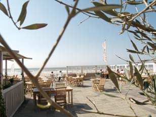 Beeld 1 Meijer aan Zee 