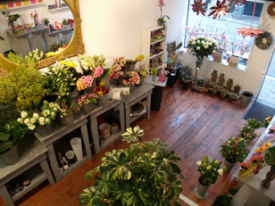 Beeld 2 Blooming Art 