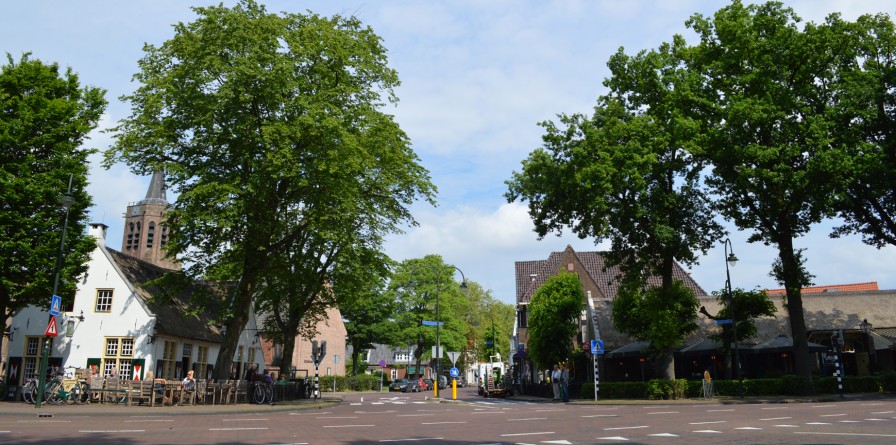 afbeelding Naarderstraat