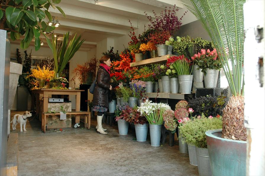 afbeelding Pompon Bloemenwinkel 